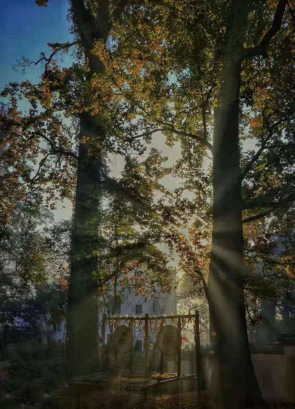 微信图片_202011161459234