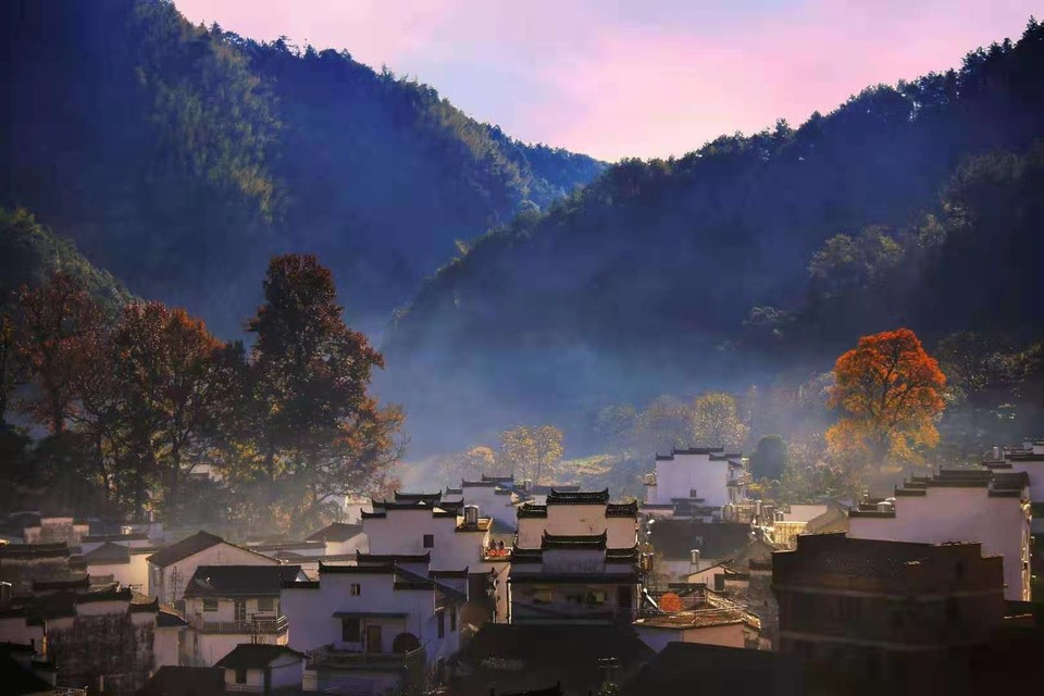 微信图片_202011161459235