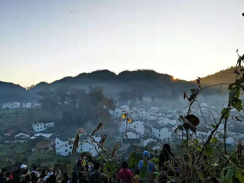 微信图片_202011161459237