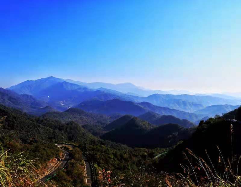 微信图片_202011161500132