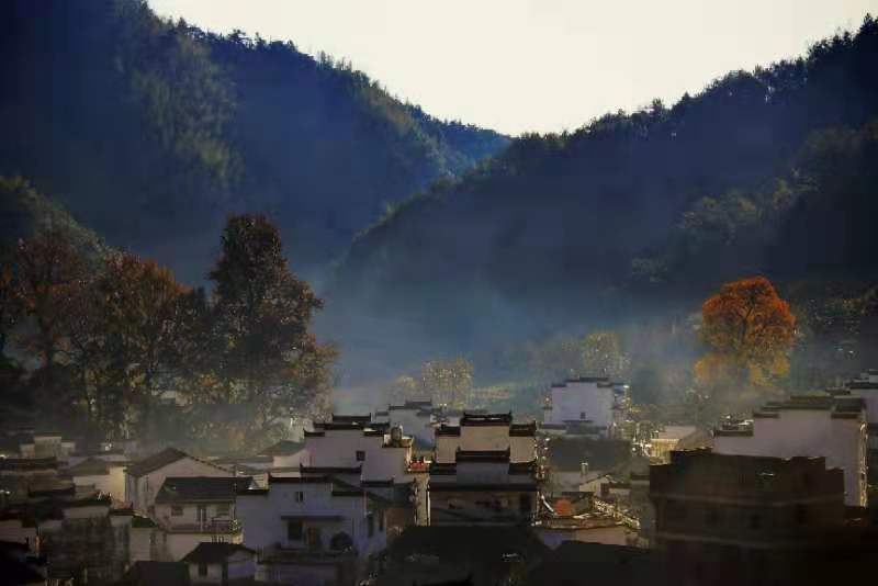 微信图片_202011161500133