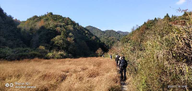 微信图片_202011161500134