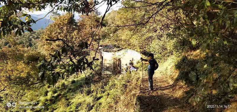 微信图片_202011161500136