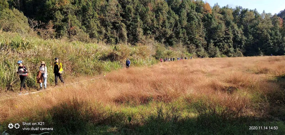 微信图片_202011161500137