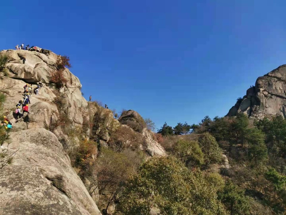 微信图片_20201116151853