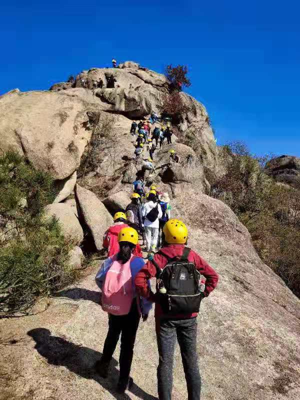 微信图片_202011161515054