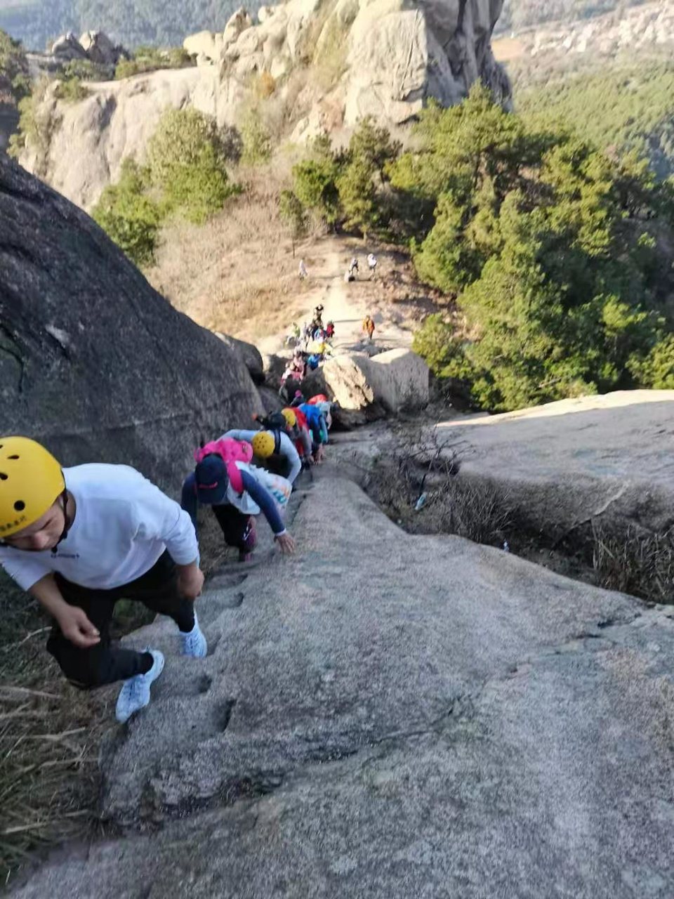 微信图片_202011161516315