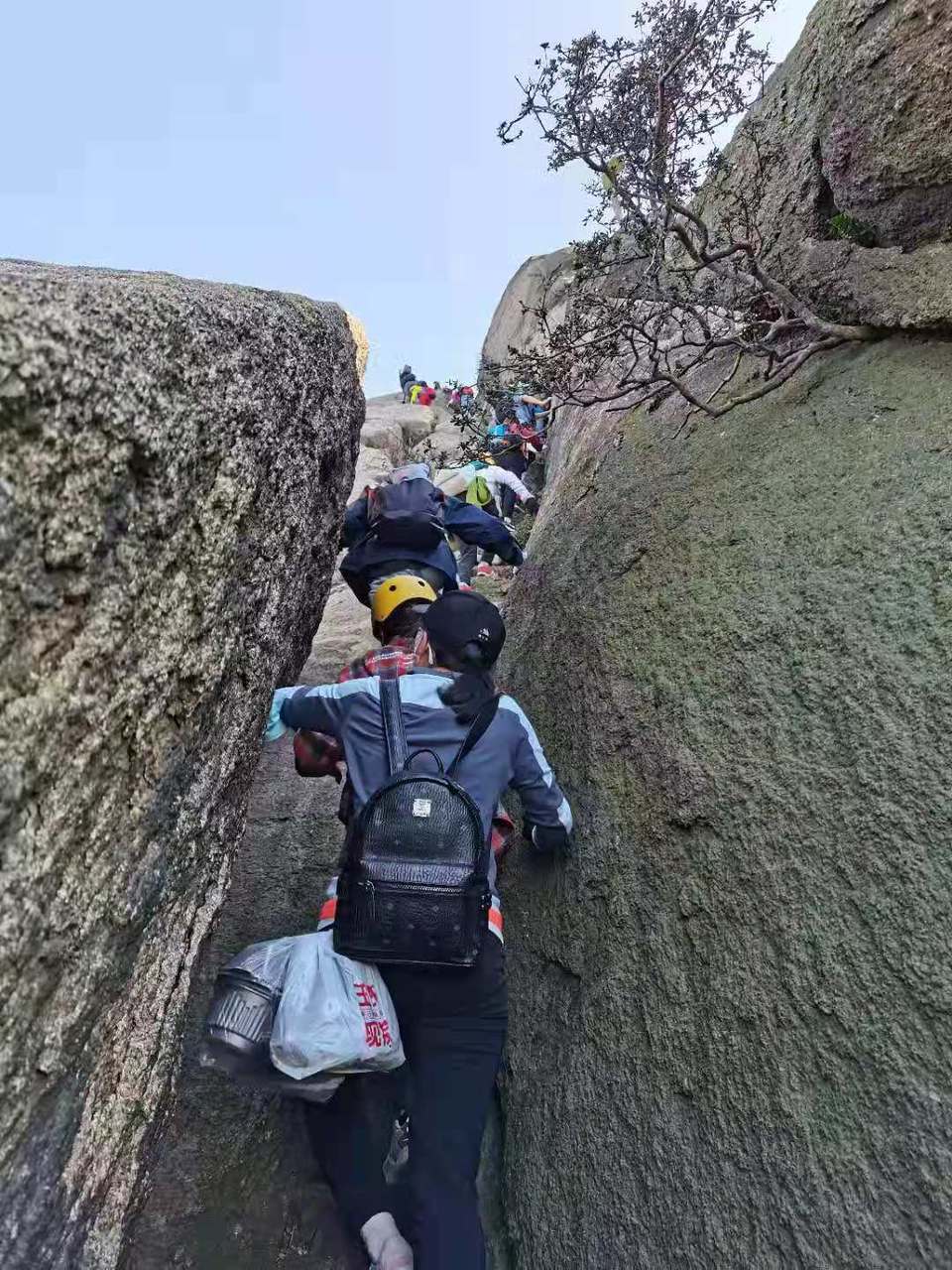 微信图片_202011161516316