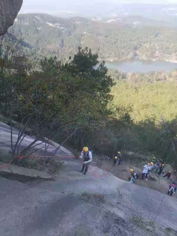 微信图片_202011161517464