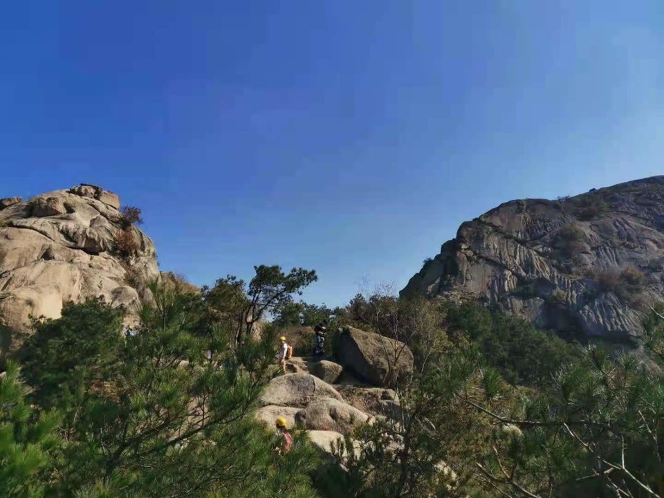 微信图片_202011161518212