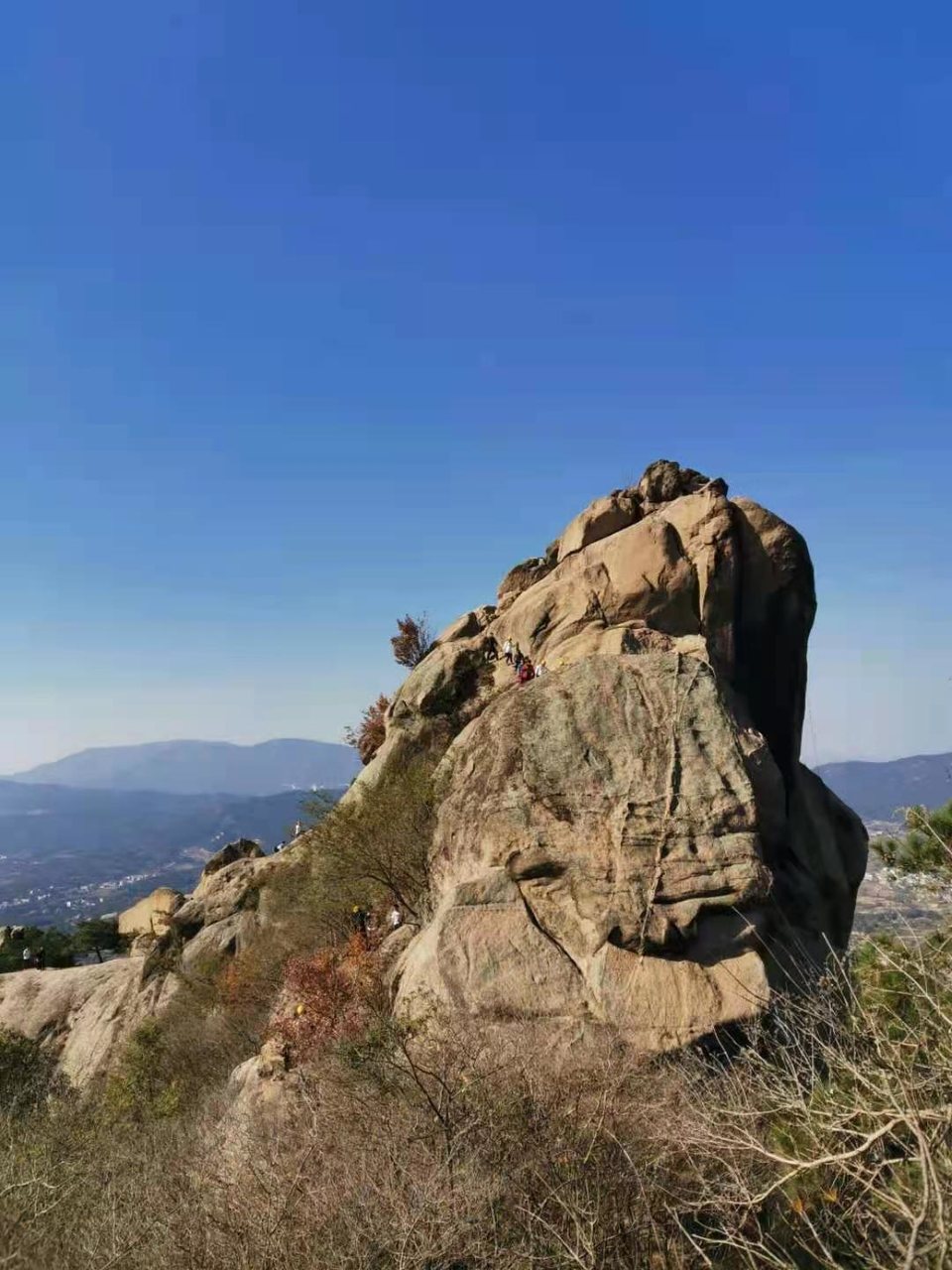 微信图片_202011161518216