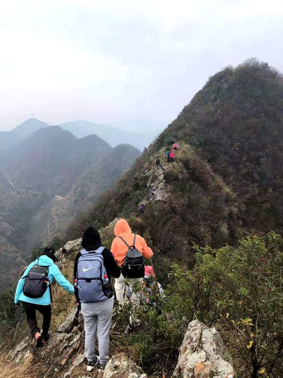 微信图片_202012071237591