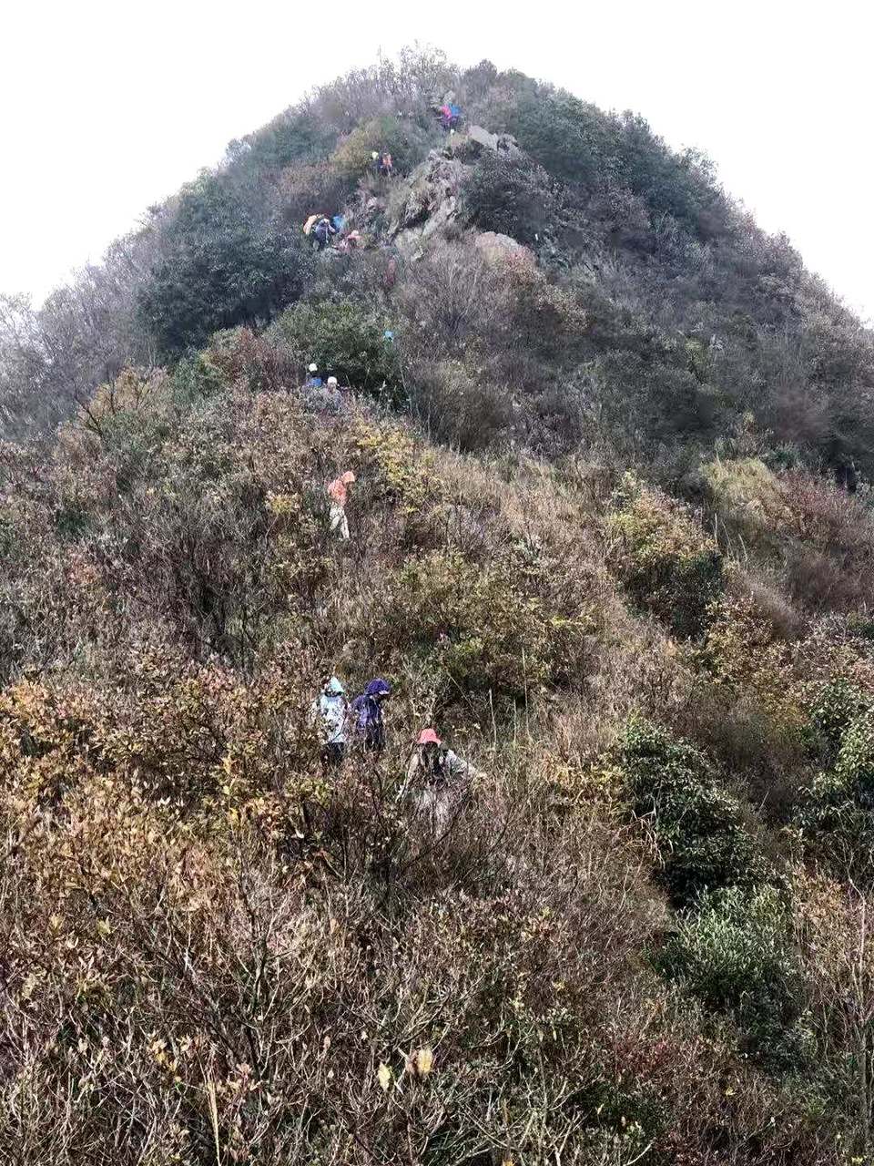 微信图片_202012071237594