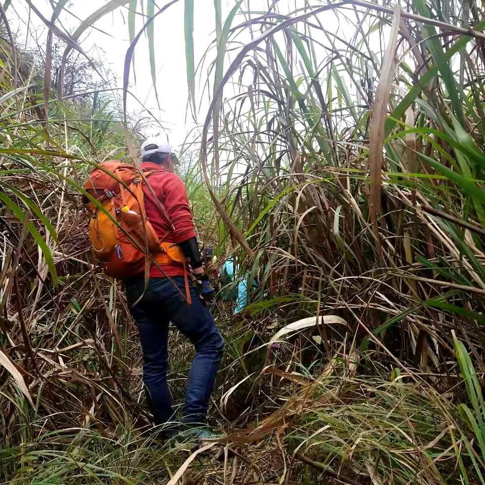 微信图片_202012071237596