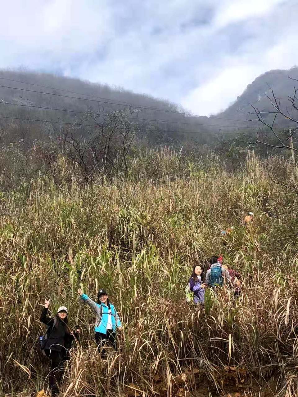 微信图片_202012071238397