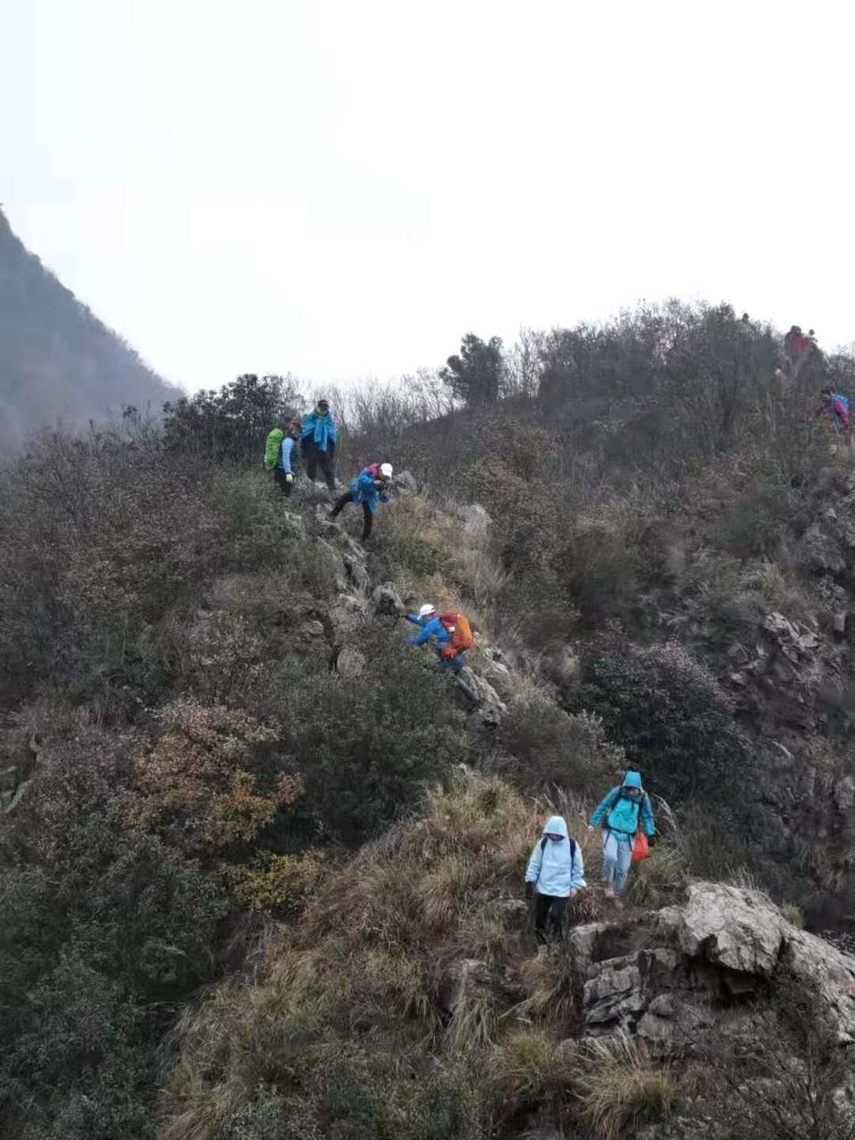 微信图片_202012071239092