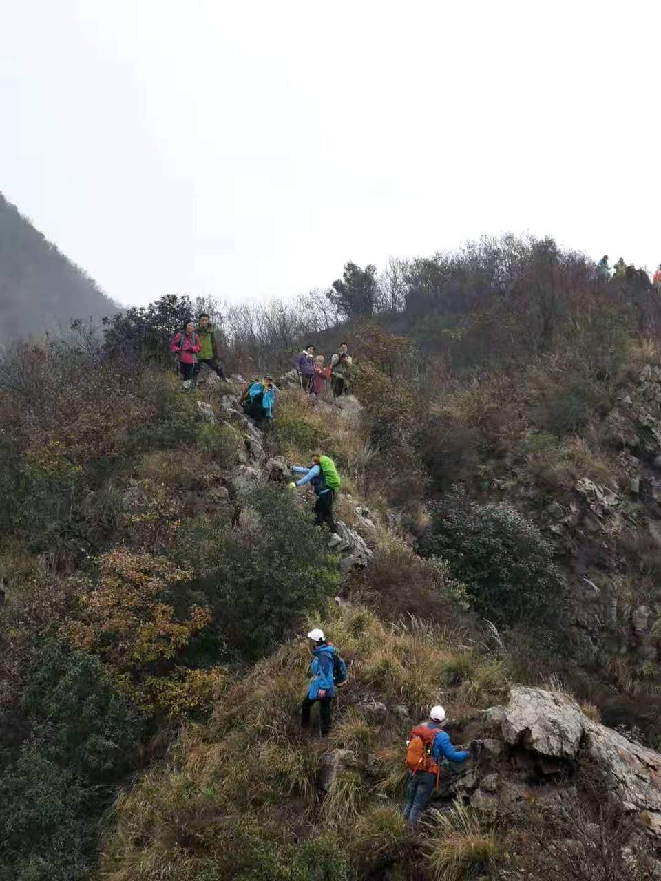 微信图片_202012071239094