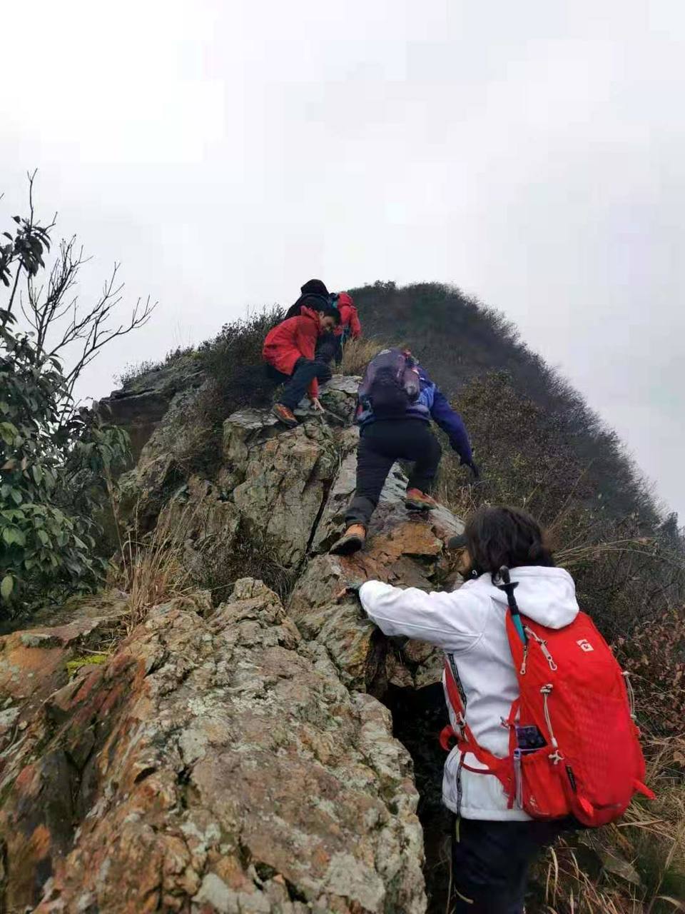 微信图片_202012071239095