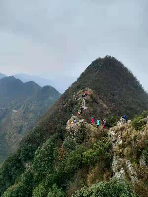 微信图片_202012071239397