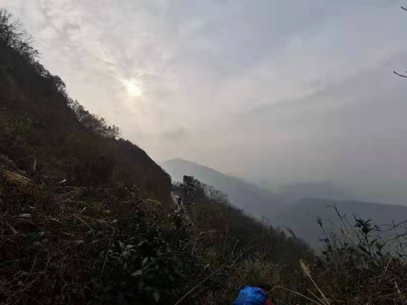 微信图片_202012071240557