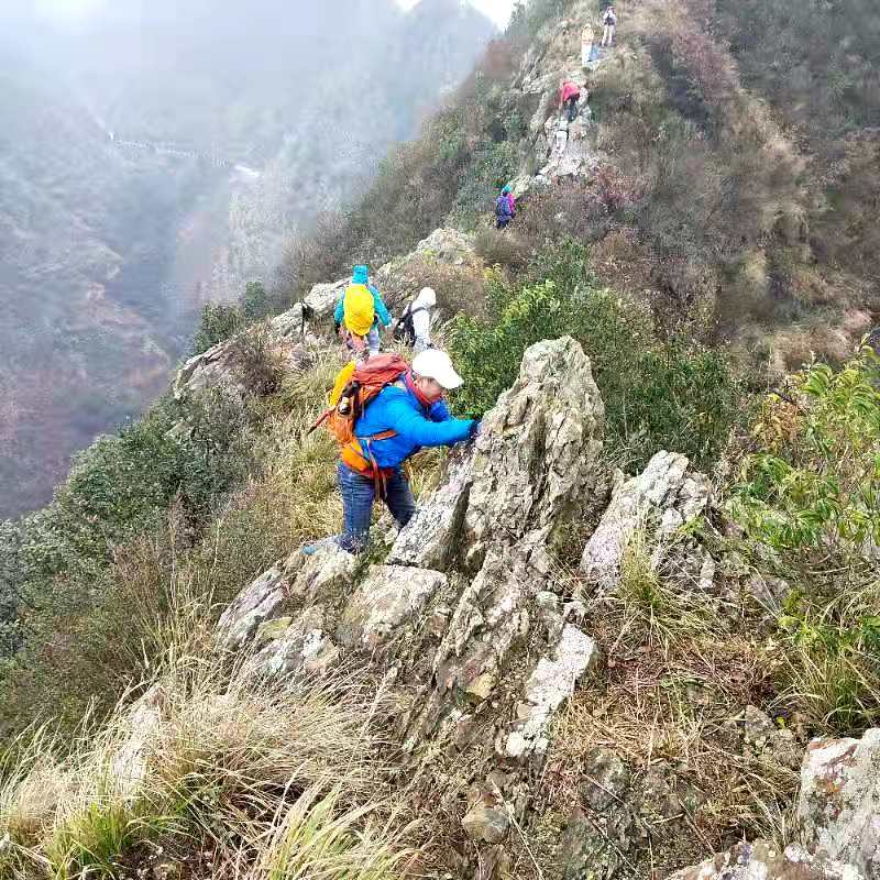 微信图片_202012071241231