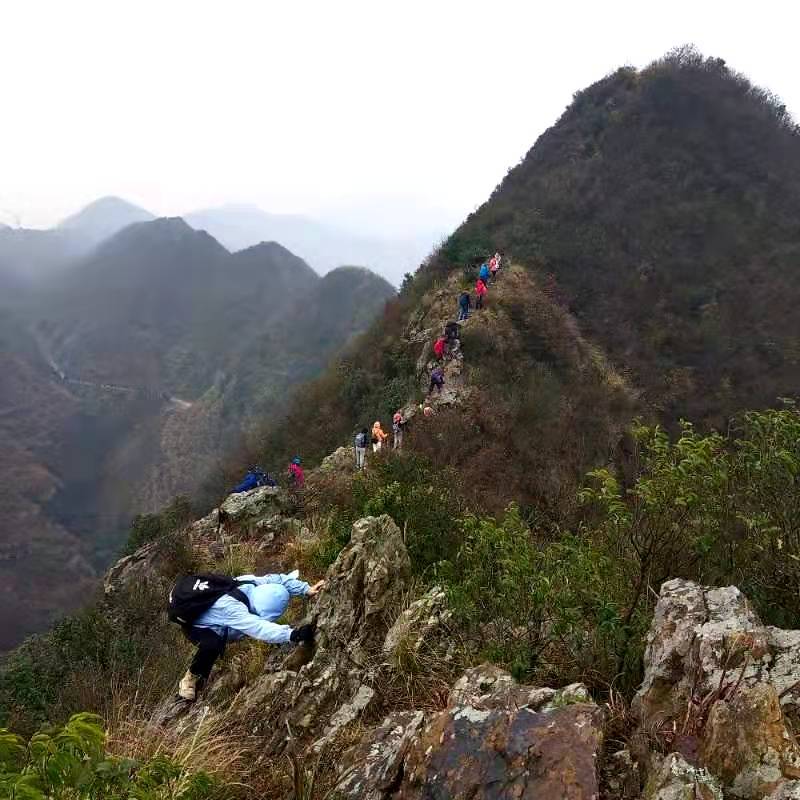 微信图片_202012071241232