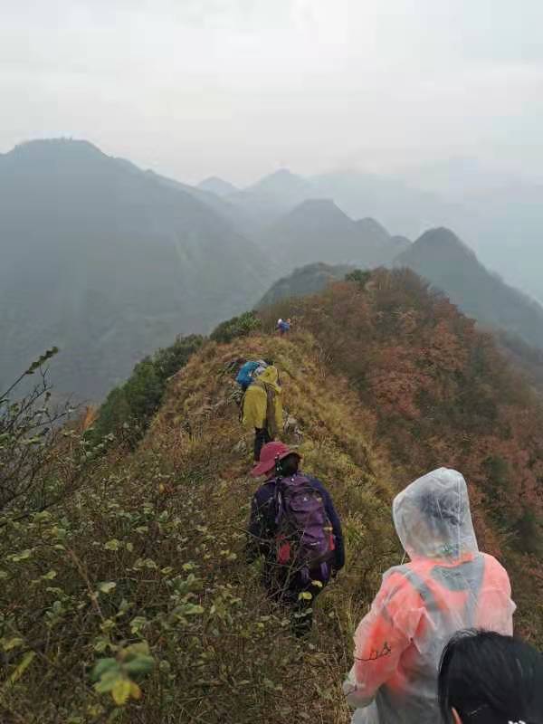 微信图片_202012071241236