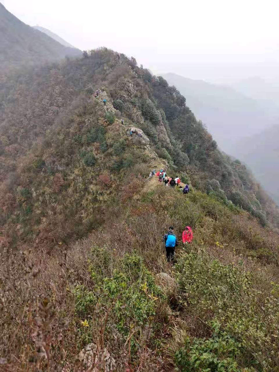 微信图片_202012071241237