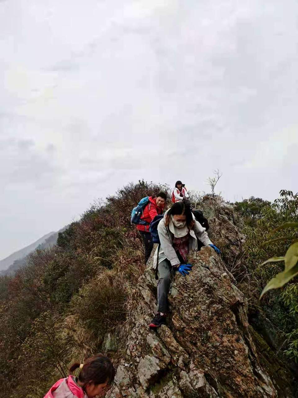 微信图片_202012071241238