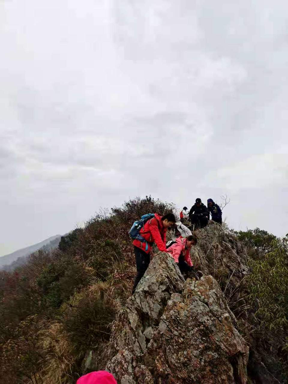 微信图片_202012071241483