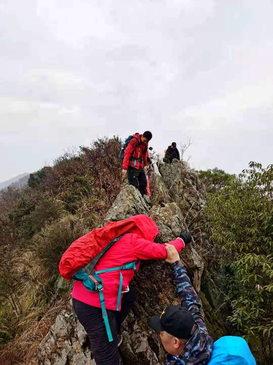 微信图片_202012071241484