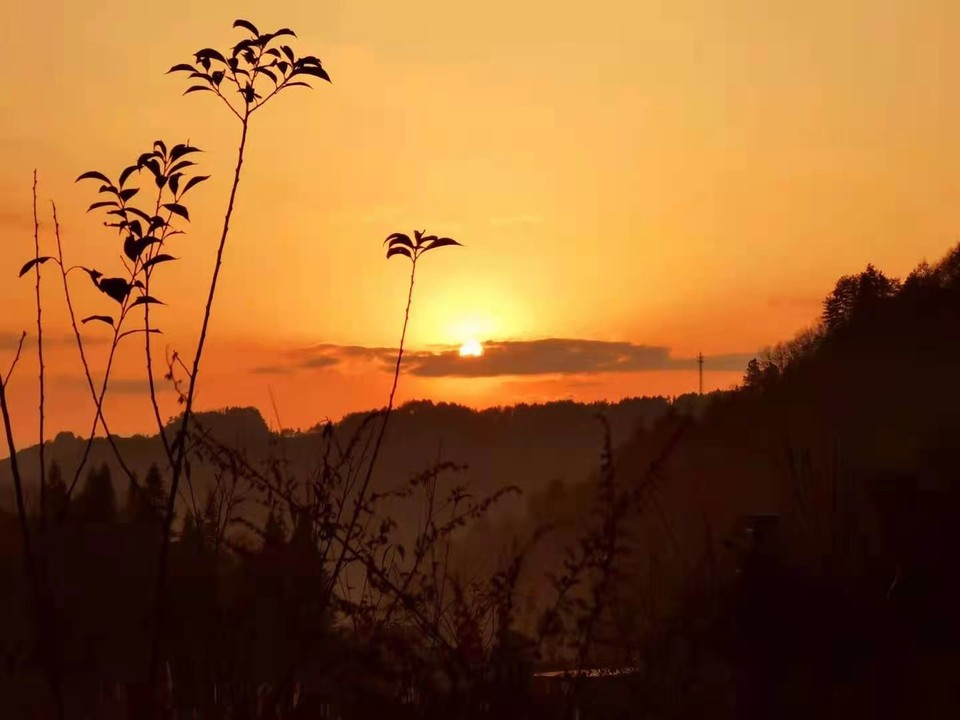 微信图片_20210105103801