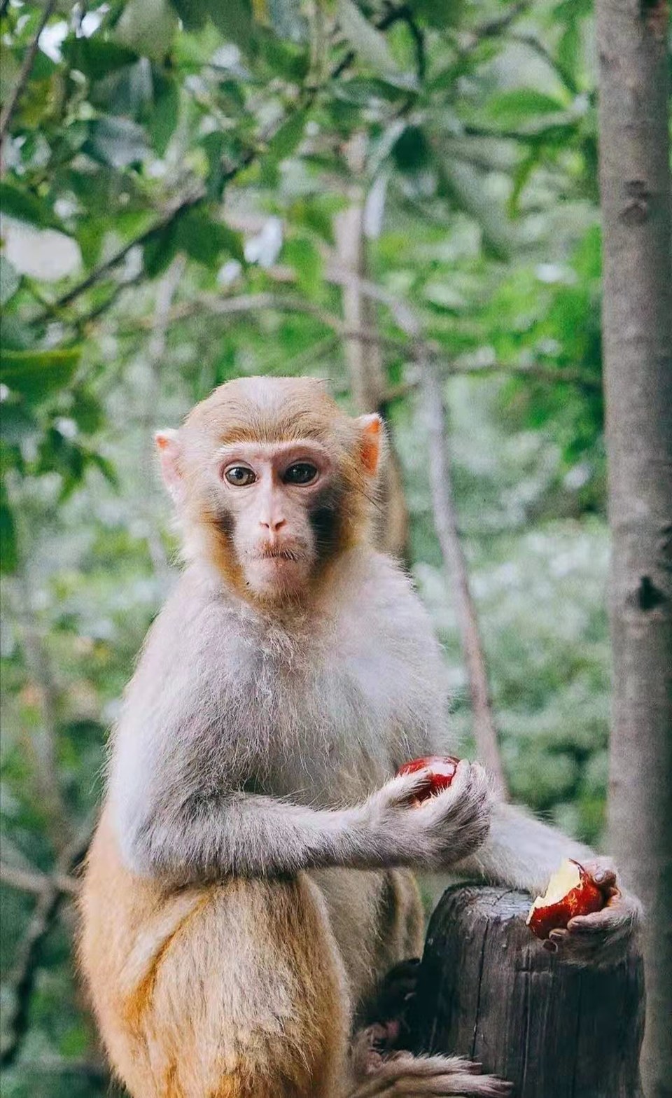 微信图片_20210105103855