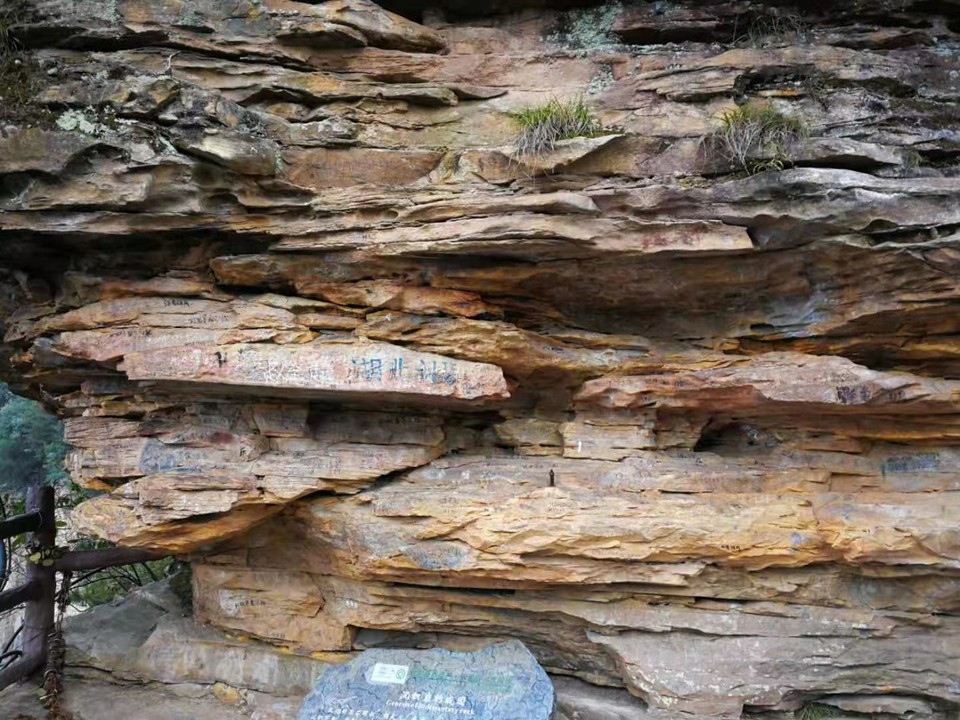 微信图片_20210105104018