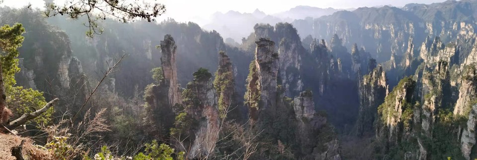 微信图片_202101051038012