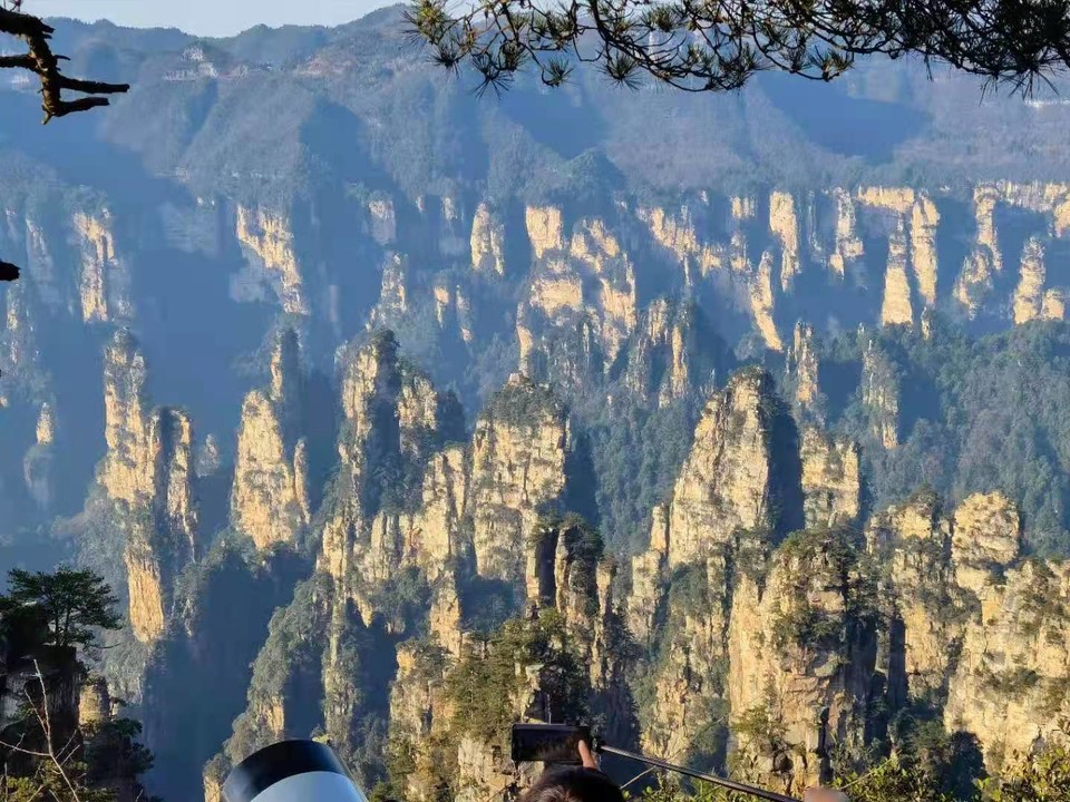 微信图片_202101051038013