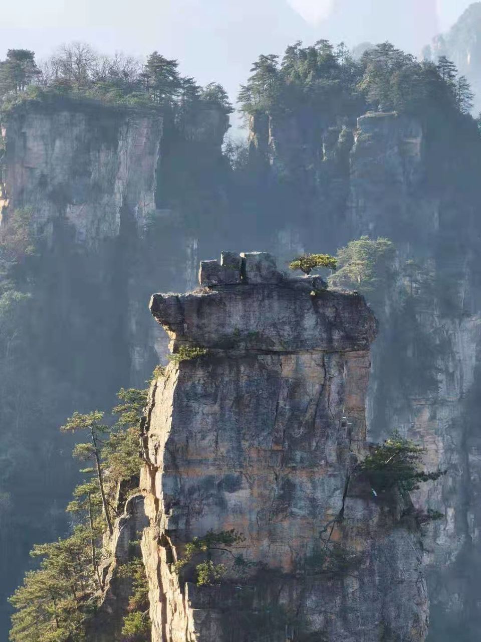 微信图片_202101051038014