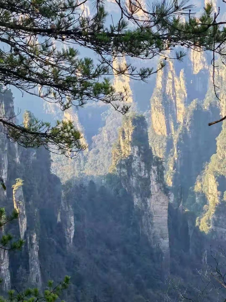 微信图片_202101051038016