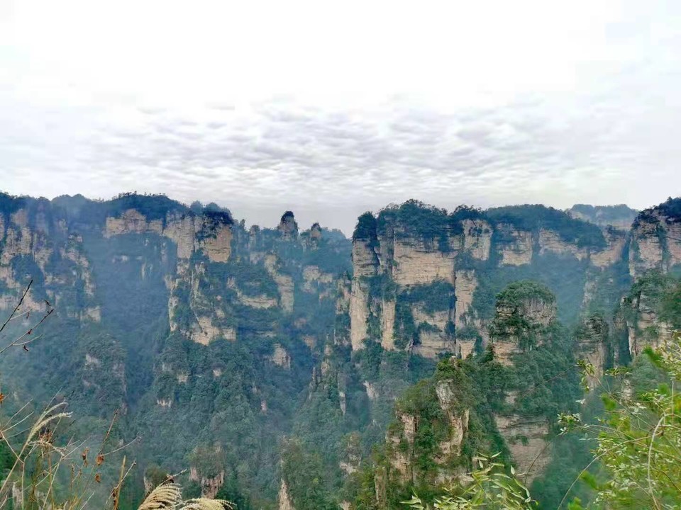 微信图片_202101051038017