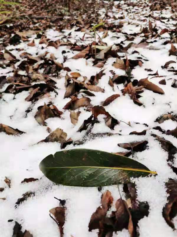 微信图片_202101051038551