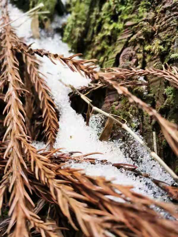 微信图片_202101051038552