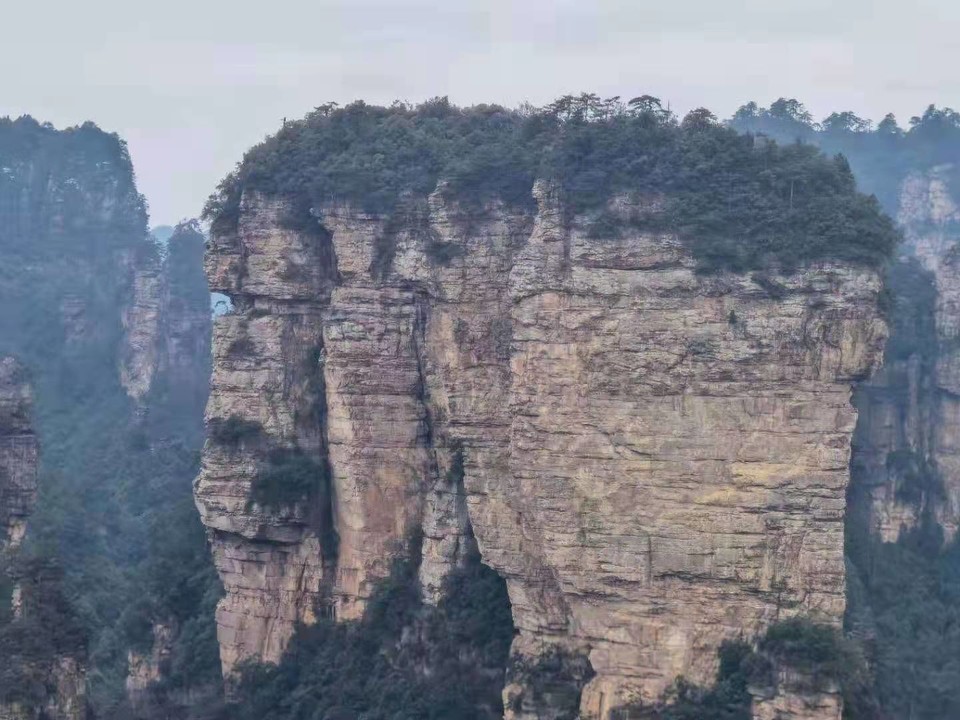 微信图片_202101051038553