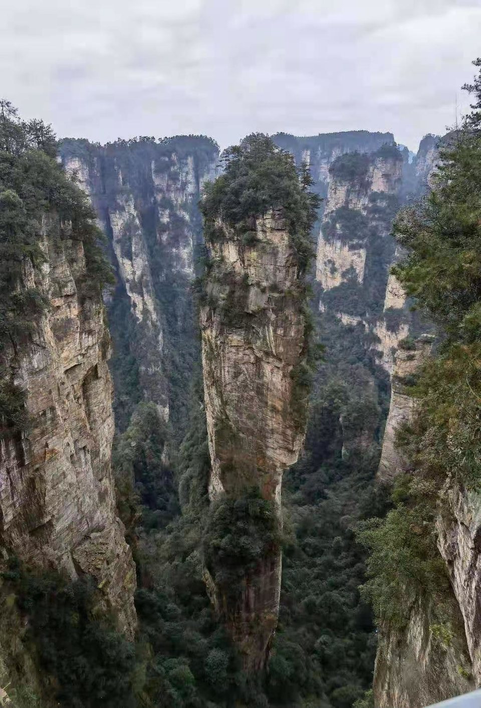 微信图片_202101051038555