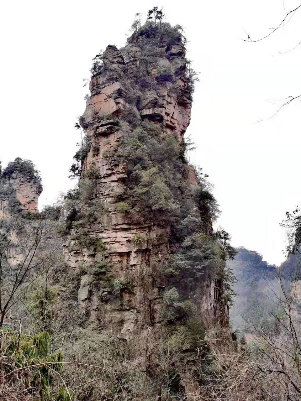 微信图片_202101051039324