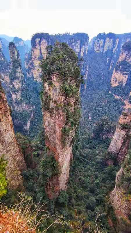 微信图片_202101051039325