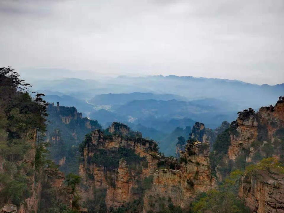 微信图片_202101051039326