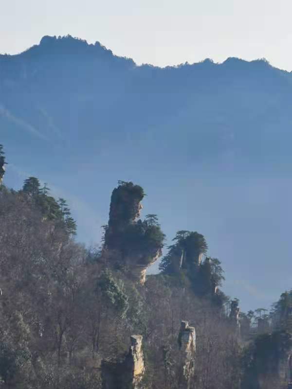 微信图片_202101051040182