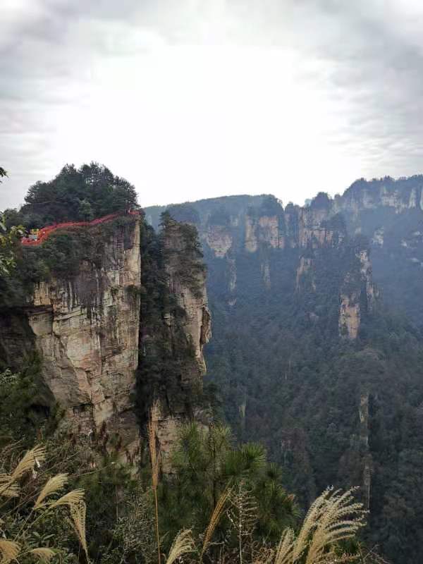 微信图片_202101051040185