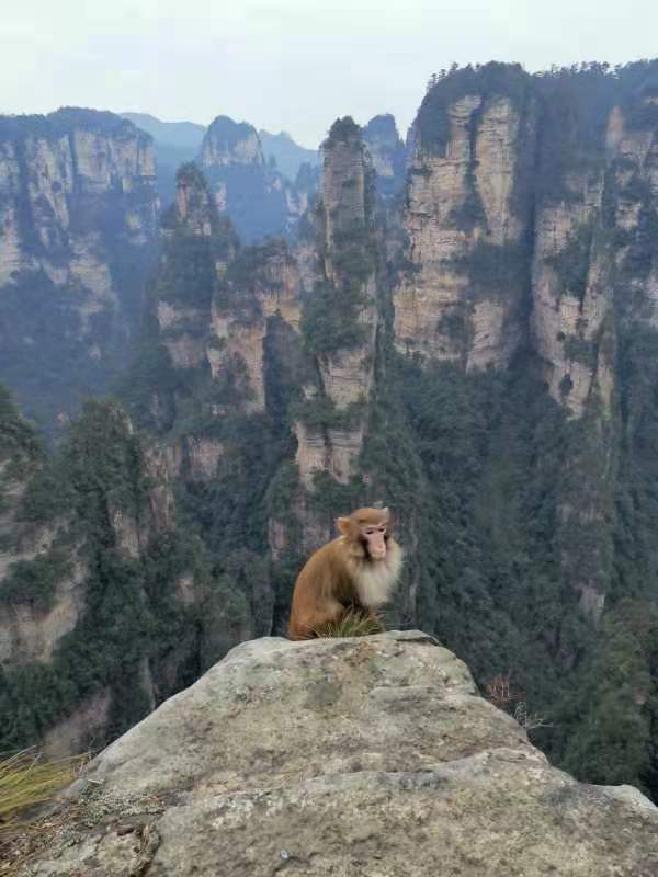 微信图片_202101051040186