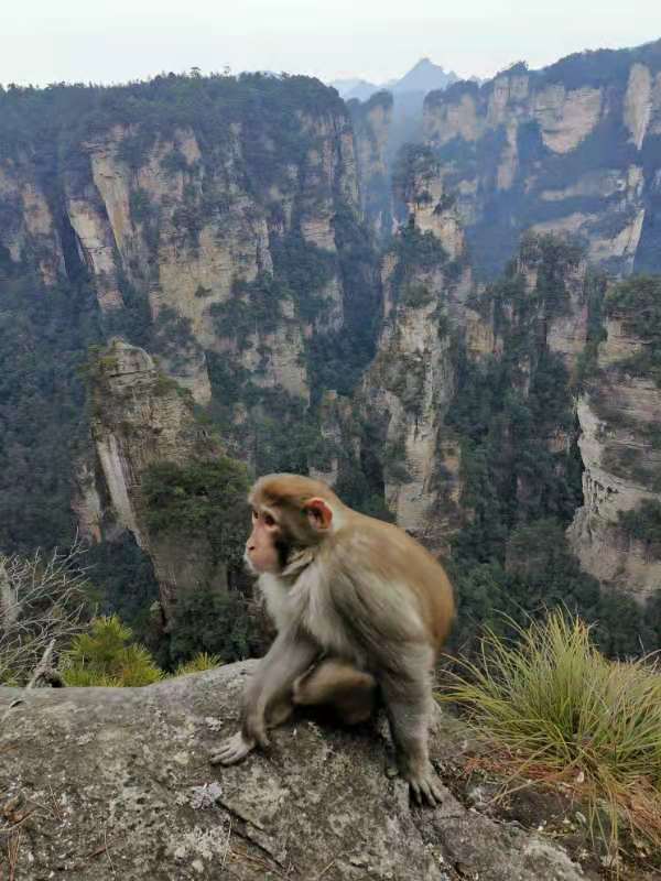 微信图片_202101051040187